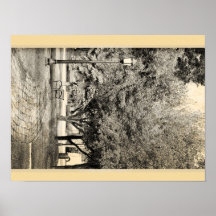 Parque del vintage impresiones