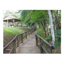 Parque Indigena Caguana Tarjetas Postales