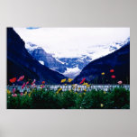 Parque nacional blanco de Banff, flores de Lake Lo Poster