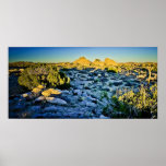 Parque nacional de la yuca en la puesta del sol poster