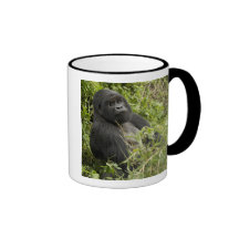 Parque nacional de los volcanes, gorila de montaña tazas de café