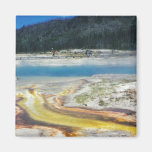 Parque nacional de Yellowstone Iman De Frigorífico