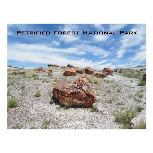 Parque nacional del bosque aterrorizado tarjetas postales