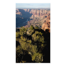 Parque nacional del Gran Cañón de Arizona (43) .JP Arte Con Fotos