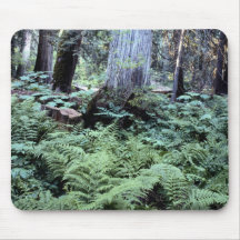 Parque nacional Mousepad Alfombrilla De Ratón