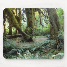 Parque nacional Mousepad Alfombrillas De Raton