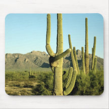 Parque nacional Mousepad Tapetes De Ratones