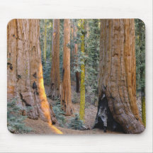 Parque nacional Mousepad Tapetes De Ratones