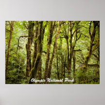 Parque nacional olímpico poster