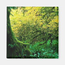 Parque nacional olímpico, Washington Imán Para Frigorífico