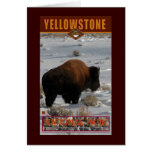Parque-Tarjeta del nacional de Yellowstone