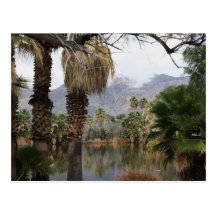 Parque Tucson Az de Caliente del Agua Postal
