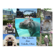 Parque zoológico de Toledo Tarjetas Postales