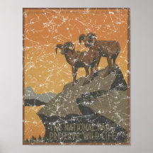 Parques nacionales - cabras del Mt. - apenados Poster