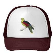 Parrakeet Carmesí-Con alas (adulto masculino) por  Gorras