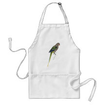 Parrakeet de la paloma de Edward Lear Delantales