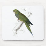 Parrakeet-Maccaw enano de Edward Lear Alfombrillas De Raton