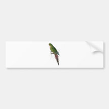 Parrakeet rosado de Edward Lear Pegatina De Parachoque