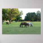 Parte A del poster del arte de la granja del cabal