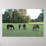 Parte B del poster del arte de la granja del cabal