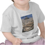 Parthenon del herodion de Grecia Atenas (St.K.) Camisetas