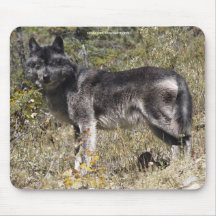 Partidario Mousepad de la fauna del estudio del lo Alfombrillas De Ratón
