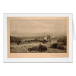 Pasado del búfalo Bierstadt (0137A) - restaurado Felicitaciones