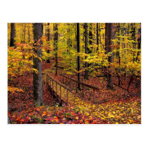 Pasarela del otoño, postal