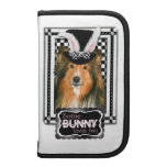 Pascua - algún conejito le ama - Sheltie Organizador