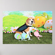Pascua - beagle - Brady Posters