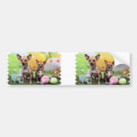 Pascua - Chipin Rockwell - chihuahua Rambo - Mahne Etiqueta De Parachoque