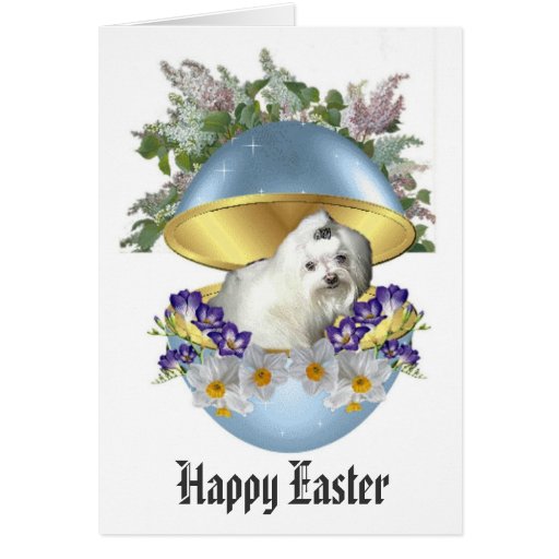 Pascua feliz con un perro felicitaciones