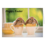 Pascua feliz felicitacion 