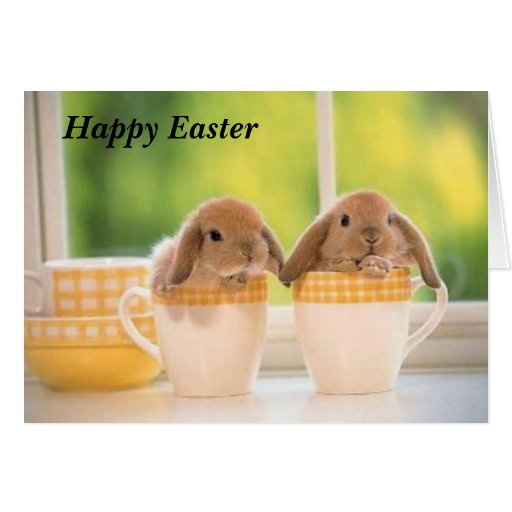 Pascua feliz felicitacion 