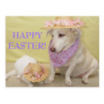 ¡PASCUA FELIZ! POSTALES