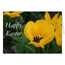 Pascua feliz tarjetón