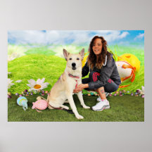 Pascua - husky siberiano - Contessa Poster