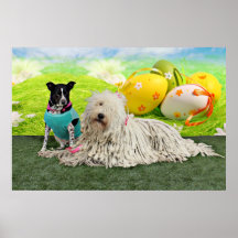 Pascua - Komondor - Zoey - Basenji X - jaspe Impresiones