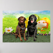 Pascua - Labrador - Jack y Diane Impresiones