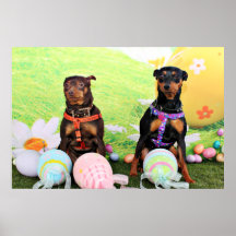 Pascua - Pin del minuto - Zena y Gidget Posters