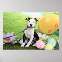 Pascua - Pitbull - artillero Impresiones