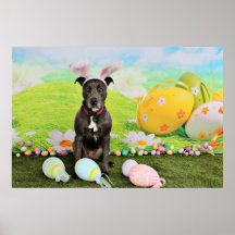 Pascua - Pitbull - artillero Impresiones