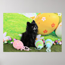 Pascua - Pomeranian - oso Impresiones