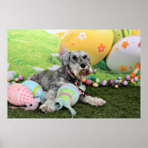 Pascua - Schnauzer - Fergie Impresiones
