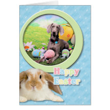 Pascua - Weimaraner - Ben Tarjetón