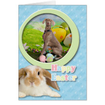 Pascua - Weimaraner - Nevaeh Tarjeton