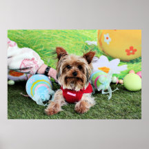 Pascua - Yorkshire Terrier - descarados Posters