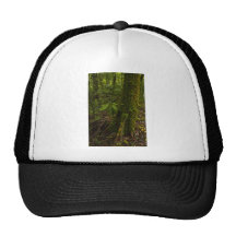Paseo 1 de la selva tropical gorra