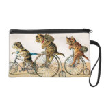 Paseo de la bicicleta