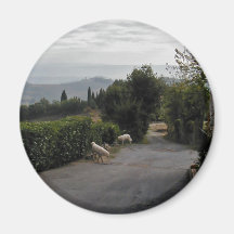 Paseo de la mañana en San Gimignano Imanes De Nevera